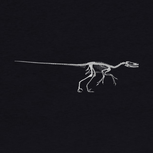 Velociraptor Skeletal by stargatedalek